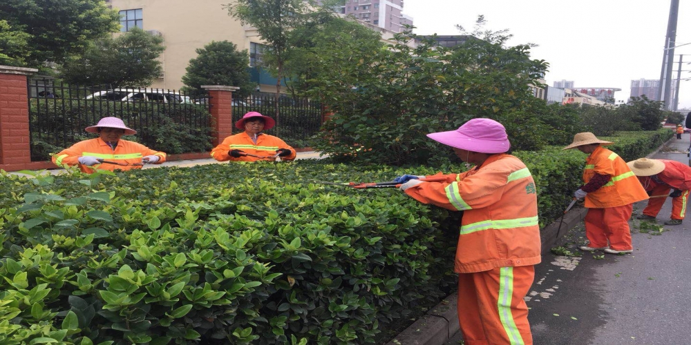 新站區(qū)道路清掃保潔、綠化管養(yǎng)項目