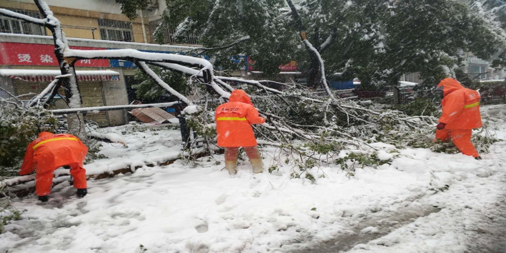 新站區(qū)道路清掃保潔、綠化管養(yǎng)項目
