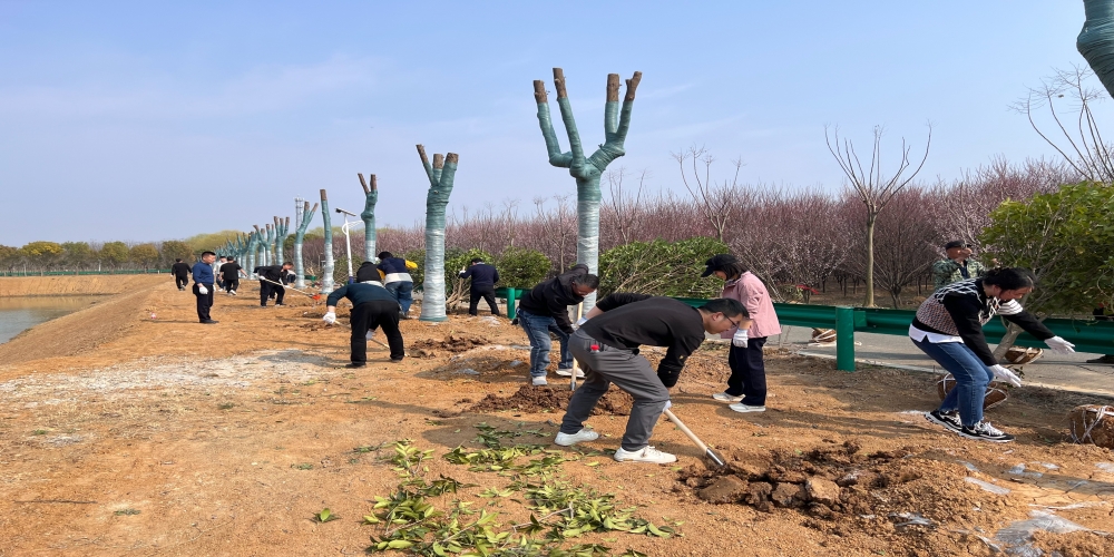 黨建引領(lǐng)共植綠 凝心聚力譜新篇 ——和合生態(tài)、德嘉置業(yè)黨支部赴小廟基地義務(wù)植樹